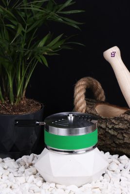 renkli lotus yesil