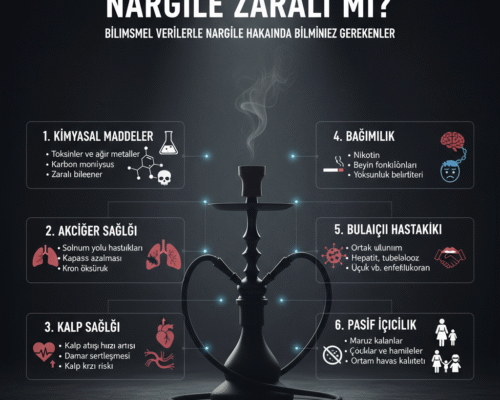 Nargile Zararlı mı? Bilimsel Veriler ve Sağlık Etkileri