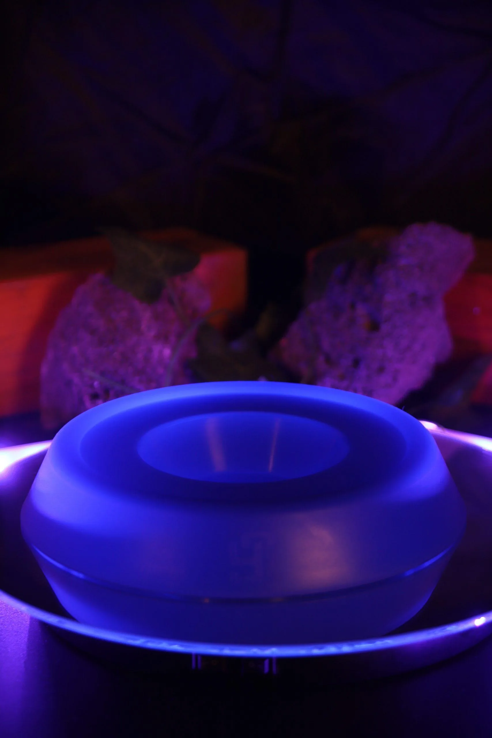 Led Tabağı - Görsel 8